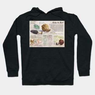 Morel Informational Poster Hoodie